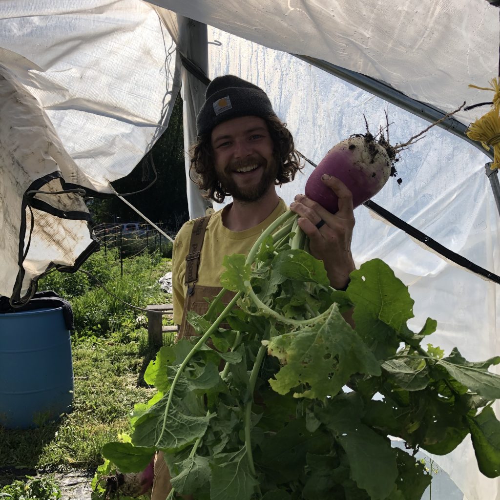 Tucker with a turnip