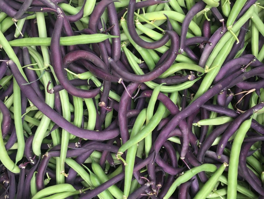 beans