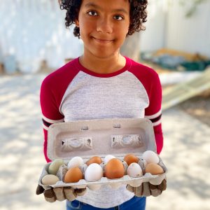 Eggs from Roots Charter High School -  Add-On to CSA