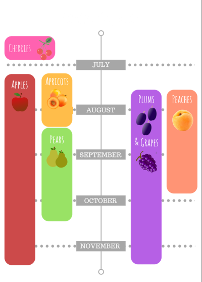 Fruit and Vegetable Guide Series: Peaches