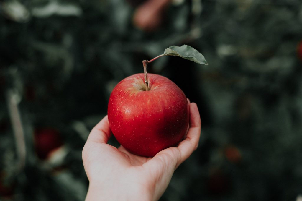 priscilla-du-preez-CoqJGsFVJtM-unsplash priscilla-du-preez-CoqJGsFVJtM-unsplash